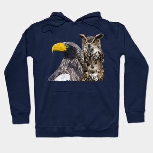 Pigargo and Owls Hoodie